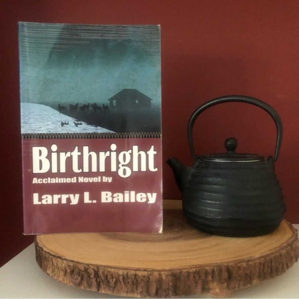 👛 (ANY 4/$20) Book: Fiction BIRTHRIGHT author Larry L. Bailey